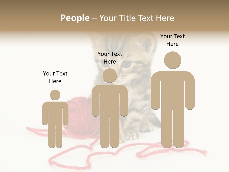 A Small Kitten Sits Next To A Ball Of Red Yarn On A White Background. These Kittens Are Being Raised On A Farm In Central Illinois PowerPoint Template