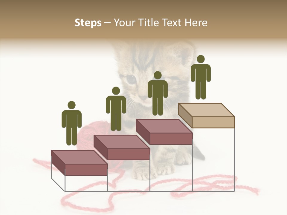 A Small Kitten Sits Next To A Ball Of Red Yarn On A White Background. These Kittens Are Being Raised On A Farm In Central Illinois PowerPoint Template