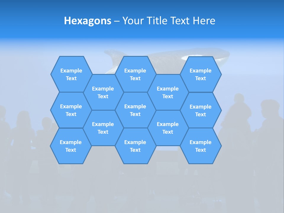 Whale Watching PowerPoint Template