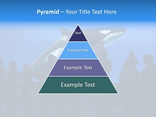Whale Watching PowerPoint Template