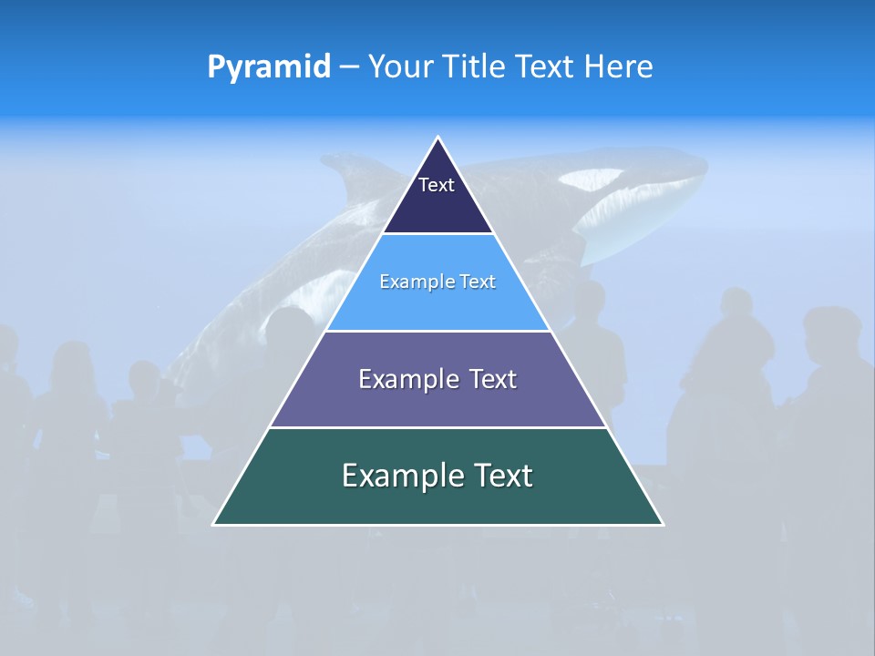 Whale Watching PowerPoint Template