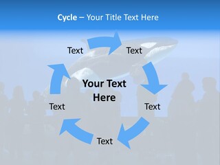 Whale Watching PowerPoint Template