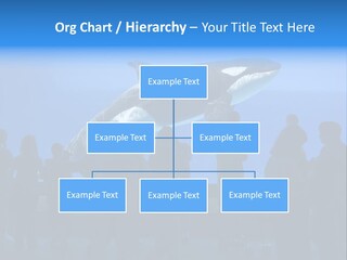 Whale Watching PowerPoint Template
