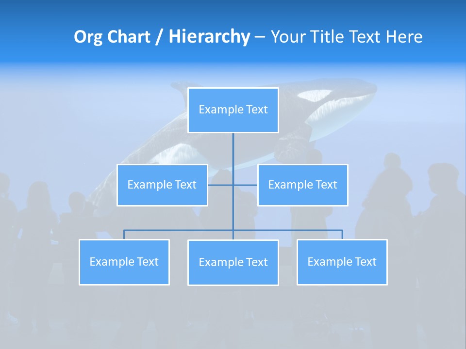 Whale Watching PowerPoint Template