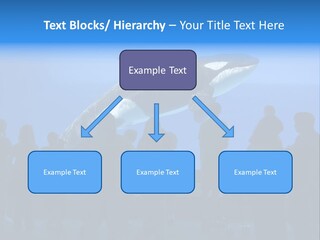 Whale Watching PowerPoint Template