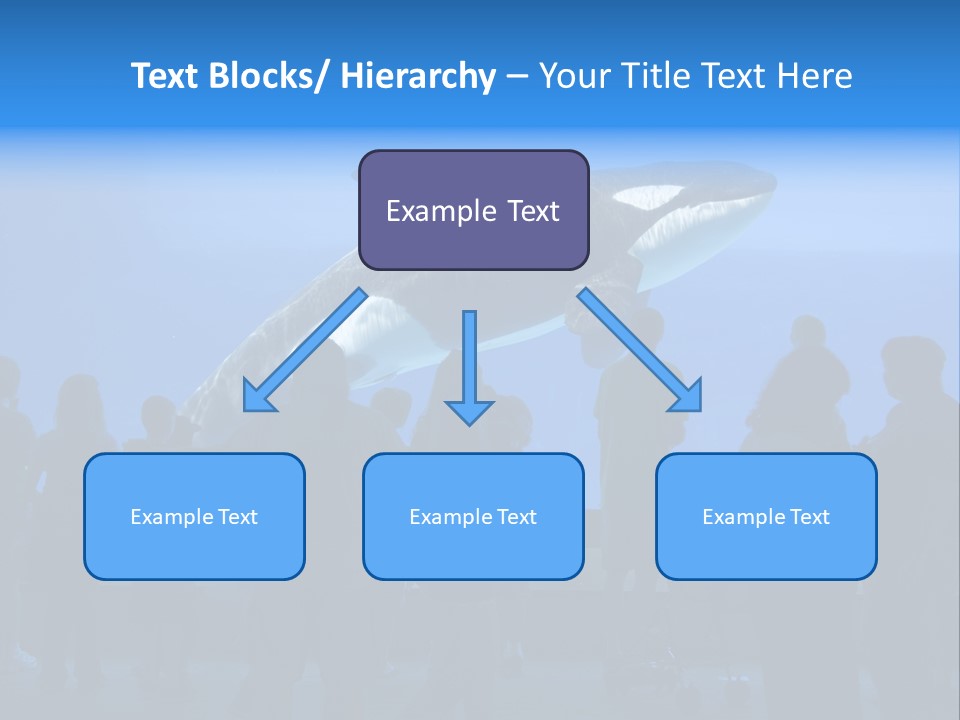 Whale Watching PowerPoint Template