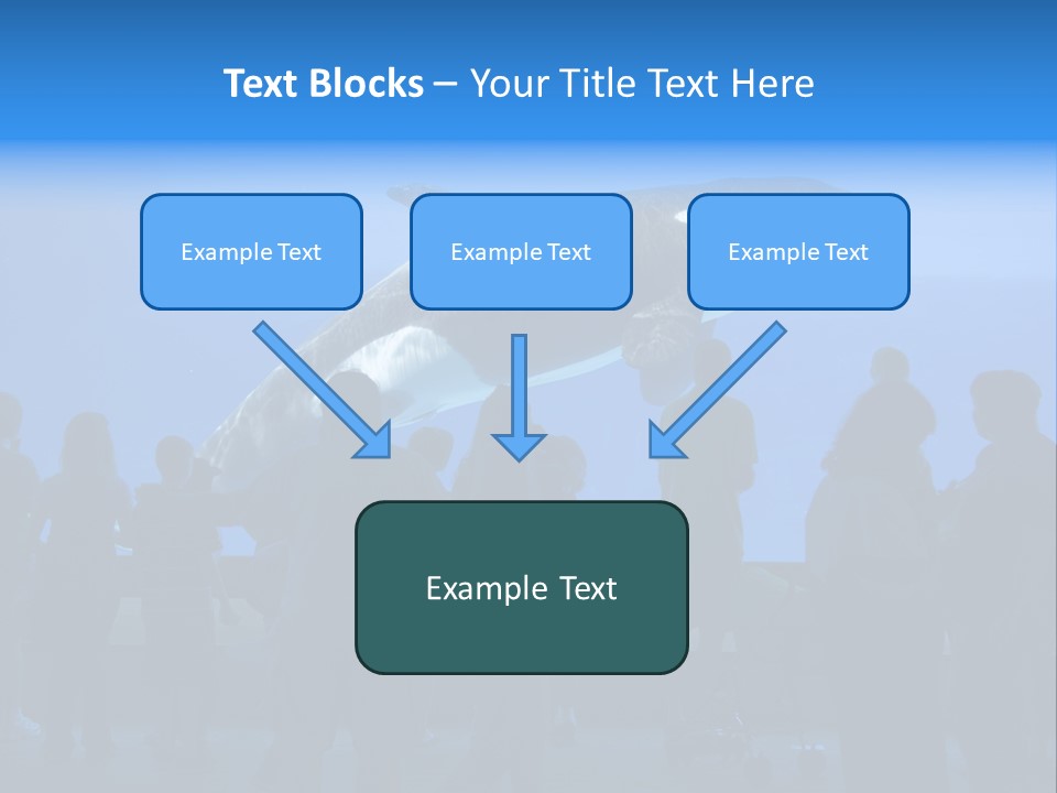 Whale Watching PowerPoint Template