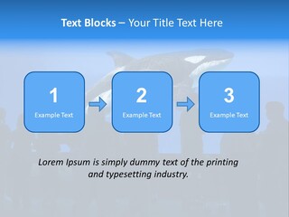 Whale Watching PowerPoint Template