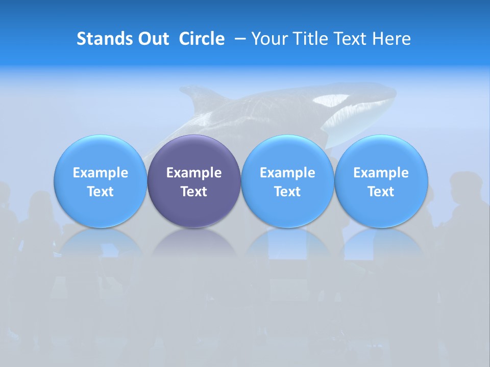 Whale Watching PowerPoint Template