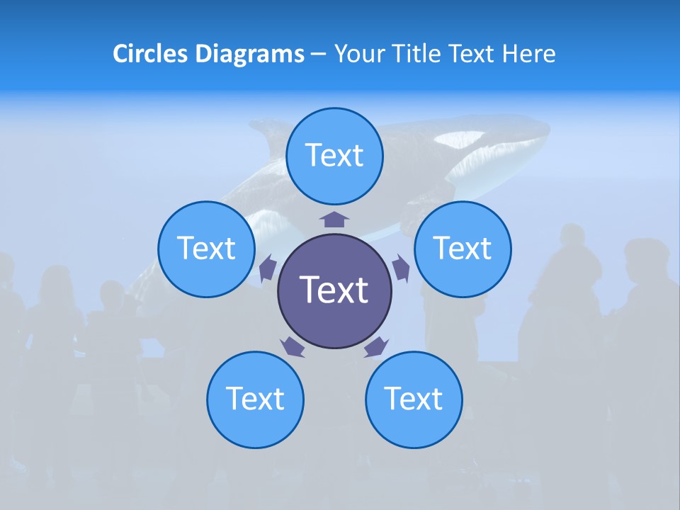 Whale Watching PowerPoint Template