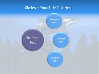 Whale Watching PowerPoint Template