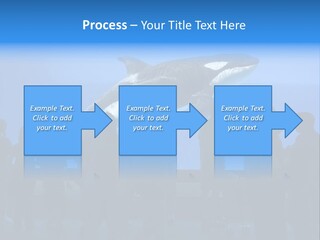Whale Watching PowerPoint Template