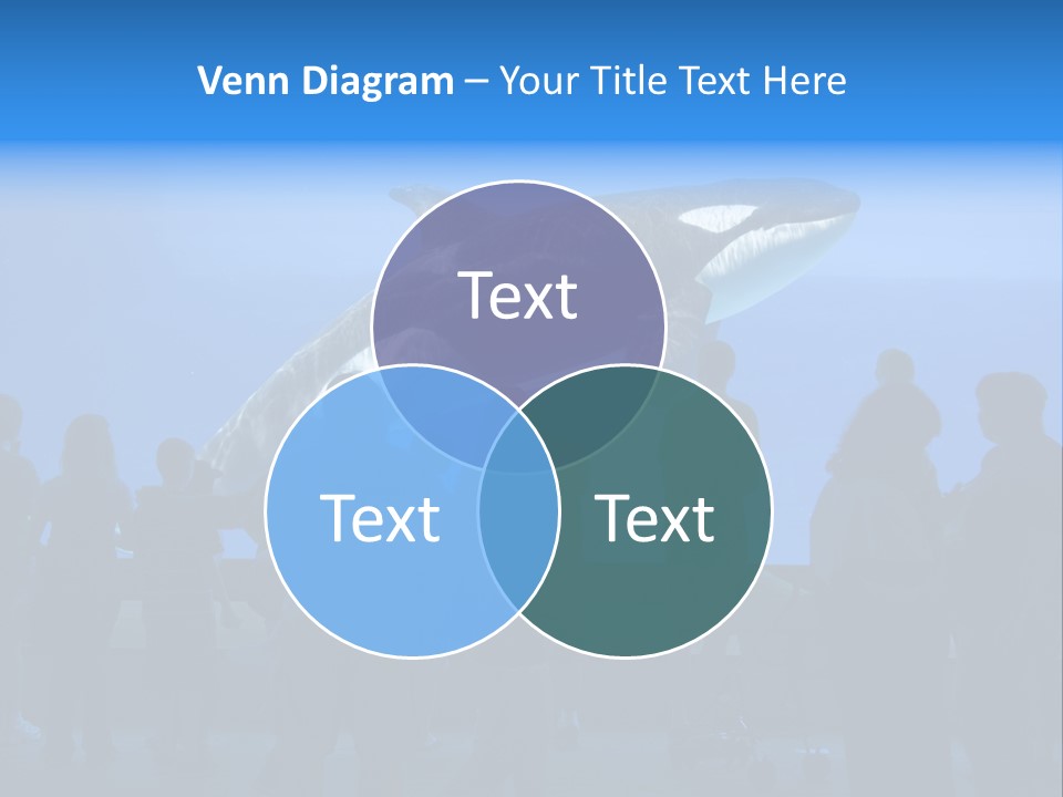 Whale Watching PowerPoint Template
