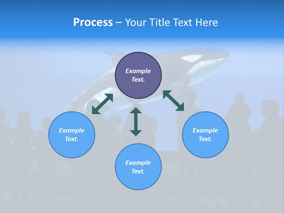 Whale Watching PowerPoint Template