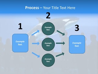 Whale Watching PowerPoint Template