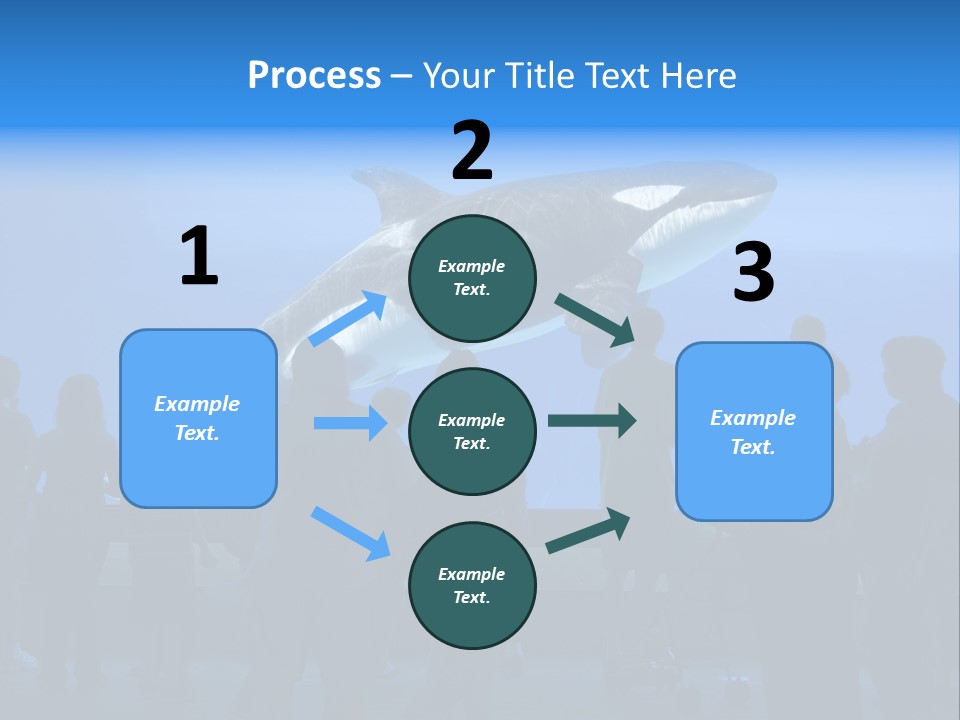 Whale Watching PowerPoint Template