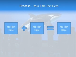 Whale Watching PowerPoint Template