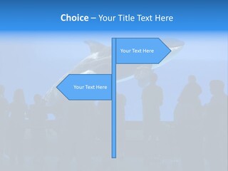 Whale Watching PowerPoint Template