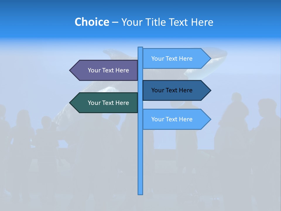 Whale Watching PowerPoint Template