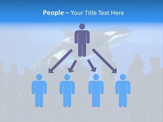 Whale Watching PowerPoint Template