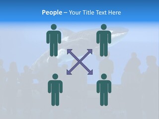 Whale Watching PowerPoint Template