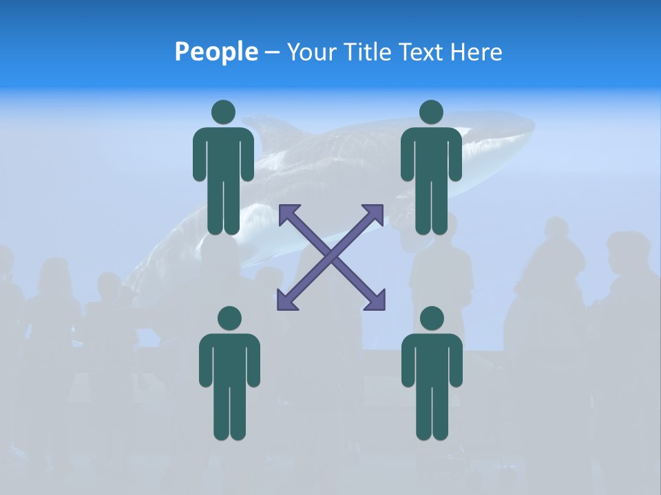 Whale Watching PowerPoint Template