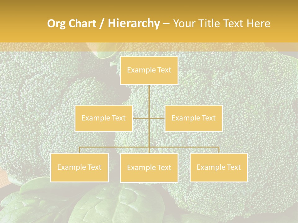 Broccoli, Cos Lettuce And Baby Spinach Leaves In Arrangement. PowerPoint Template