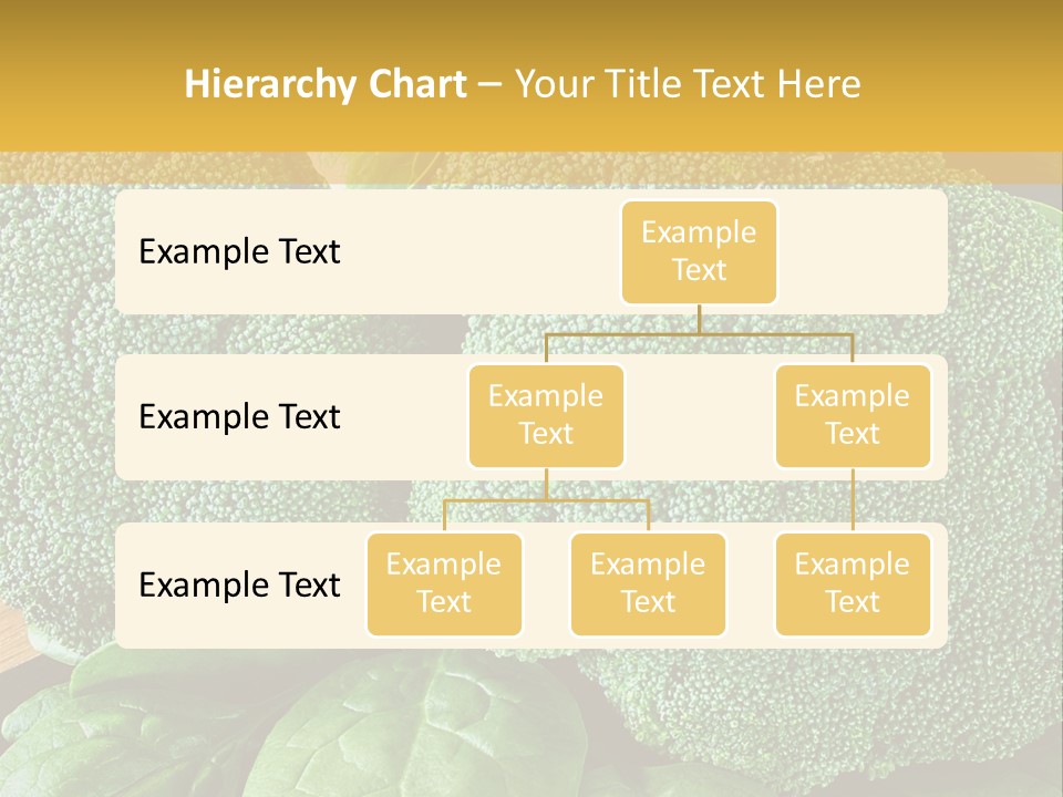 Broccoli, Cos Lettuce And Baby Spinach Leaves In Arrangement. PowerPoint Template