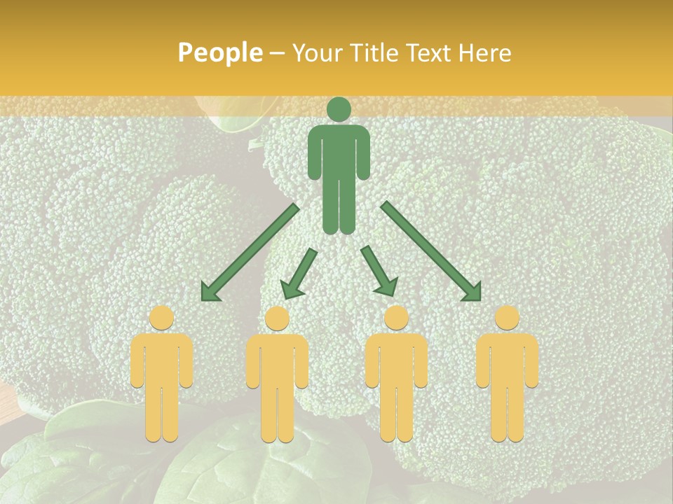 Broccoli, Cos Lettuce And Baby Spinach Leaves In Arrangement. PowerPoint Template