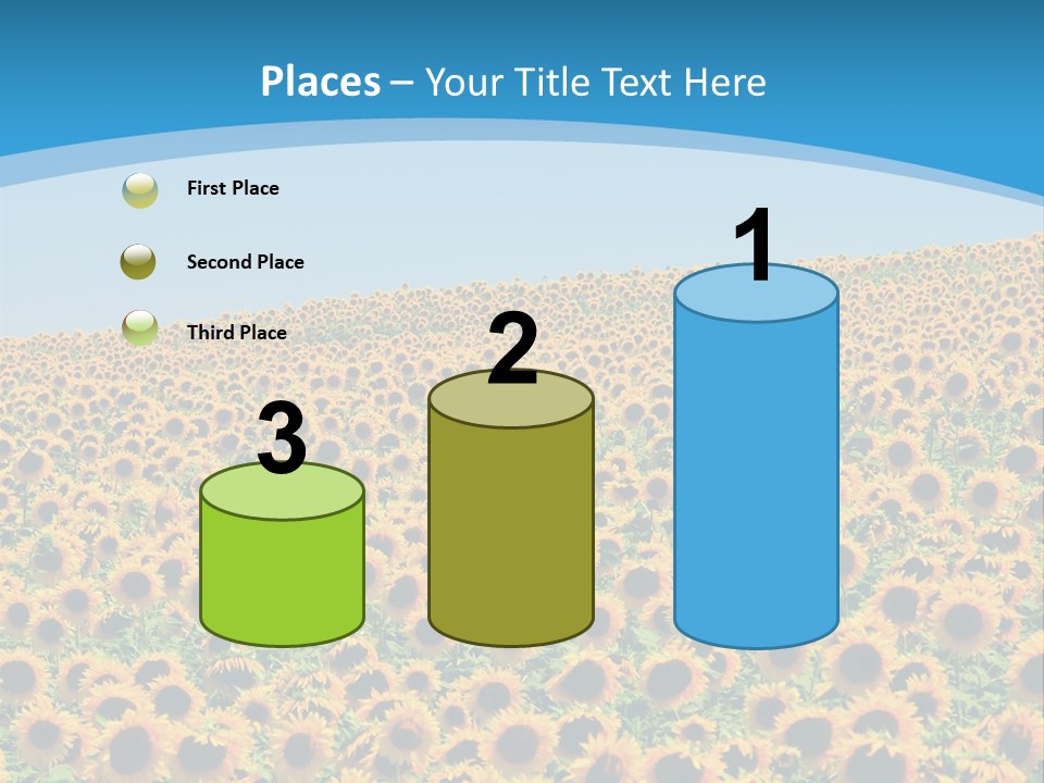 A Field Of Sunflowers, In The South Of France. PowerPoint Template