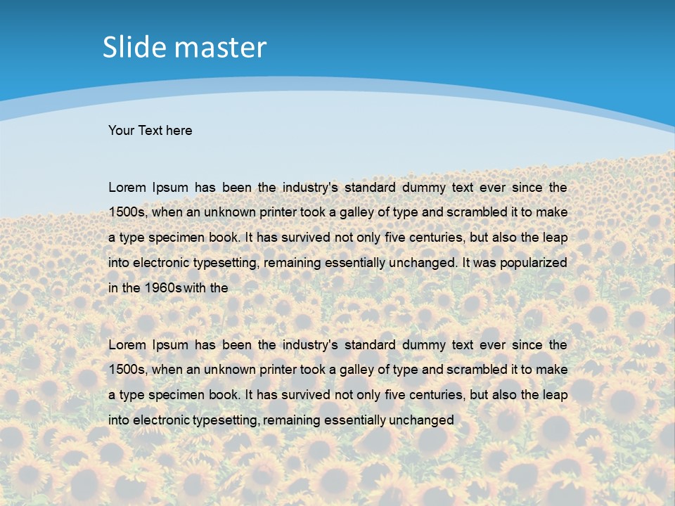 A Field Of Sunflowers, In The South Of France. PowerPoint Template