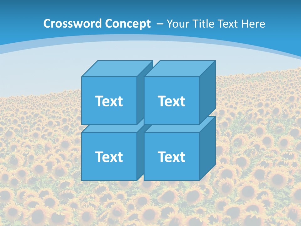 A Field Of Sunflowers, In The South Of France. PowerPoint Template