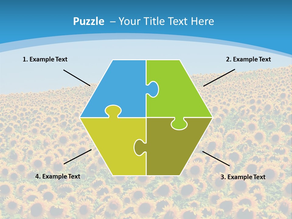 A Field Of Sunflowers, In The South Of France. PowerPoint Template