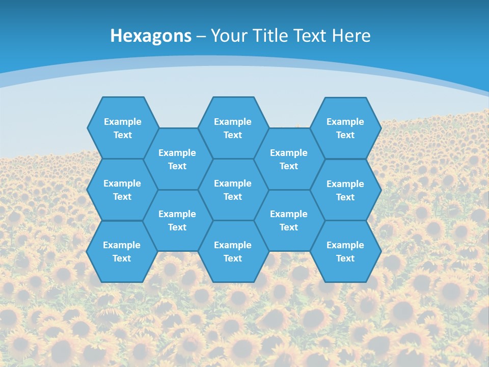 A Field Of Sunflowers, In The South Of France. PowerPoint Template