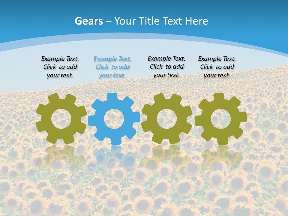 A Field Of Sunflowers, In The South Of France. PowerPoint Template