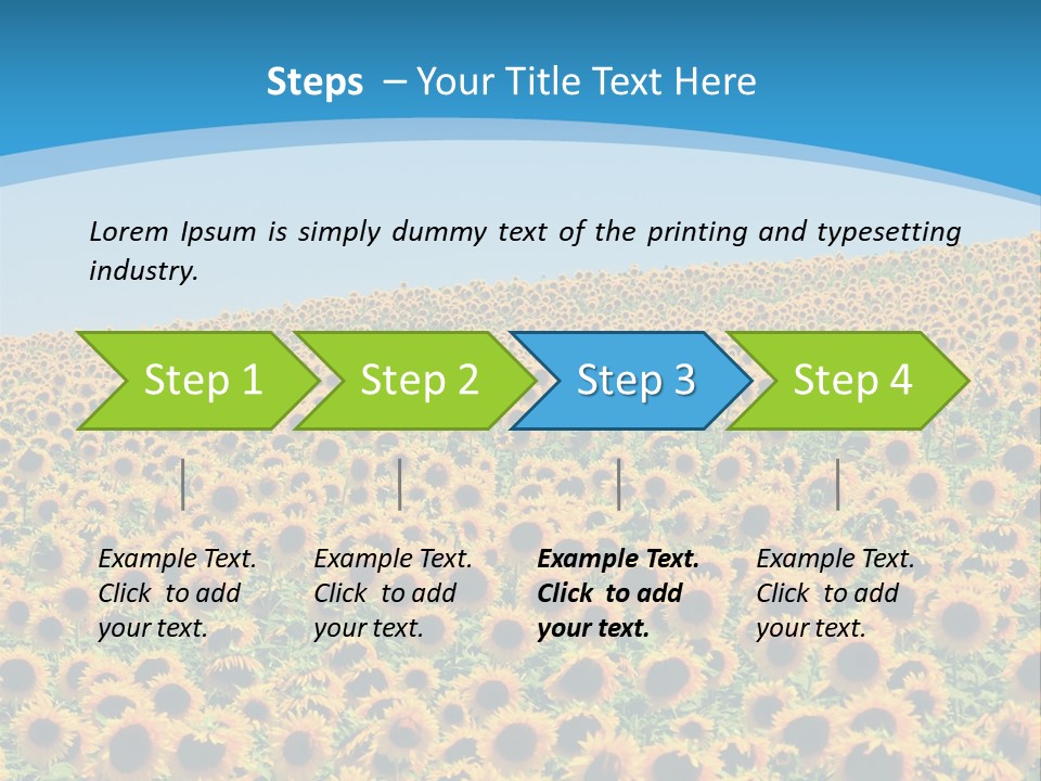 A Field Of Sunflowers, In The South Of France. PowerPoint Template