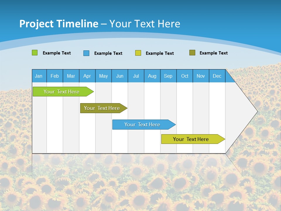 A Field Of Sunflowers, In The South Of France. PowerPoint Template