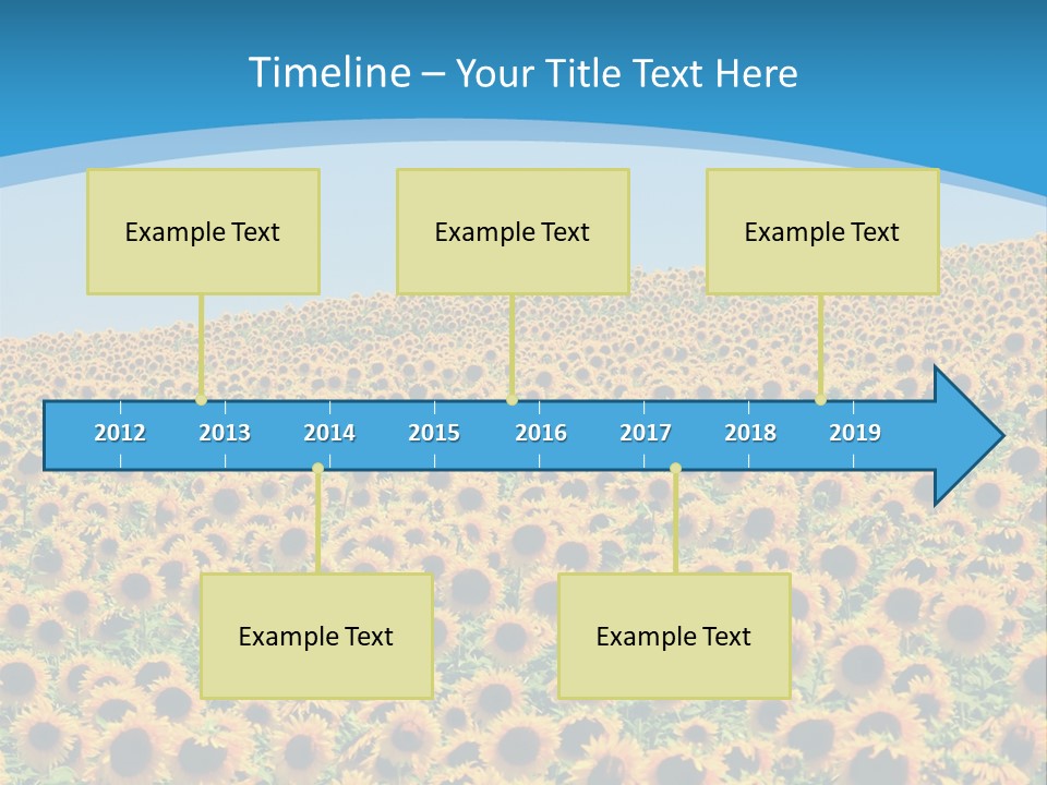 A Field Of Sunflowers, In The South Of France. PowerPoint Template