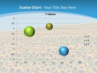 A Field Of Sunflowers, In The South Of France. PowerPoint Template