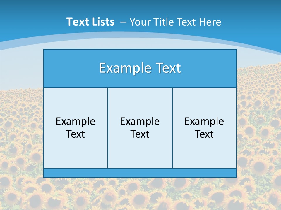 A Field Of Sunflowers, In The South Of France. PowerPoint Template