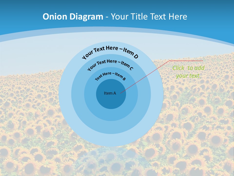 A Field Of Sunflowers, In The South Of France. PowerPoint Template