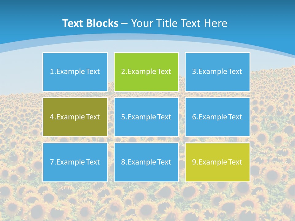 A Field Of Sunflowers, In The South Of France. PowerPoint Template