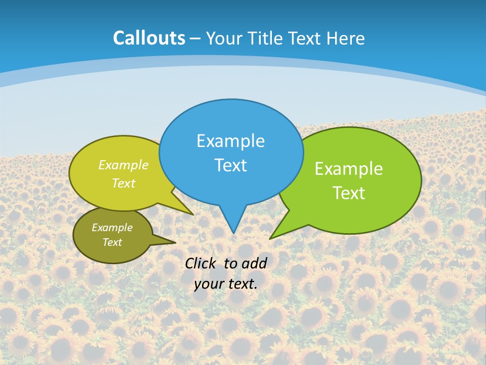 A Field Of Sunflowers, In The South Of France. PowerPoint Template