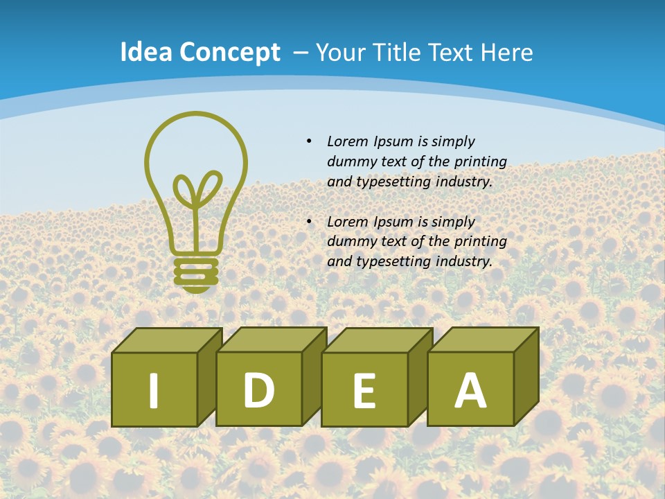 A Field Of Sunflowers, In The South Of France. PowerPoint Template