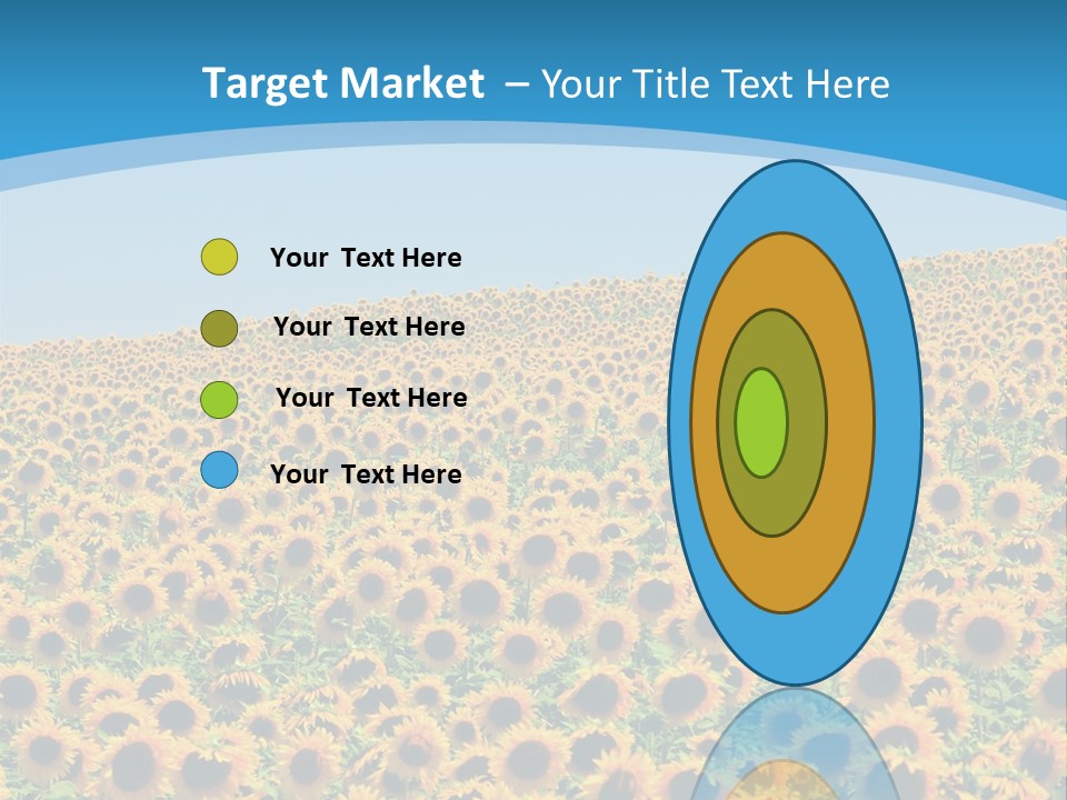 A Field Of Sunflowers, In The South Of France. PowerPoint Template