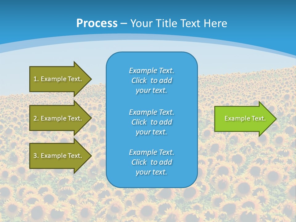 A Field Of Sunflowers, In The South Of France. PowerPoint Template