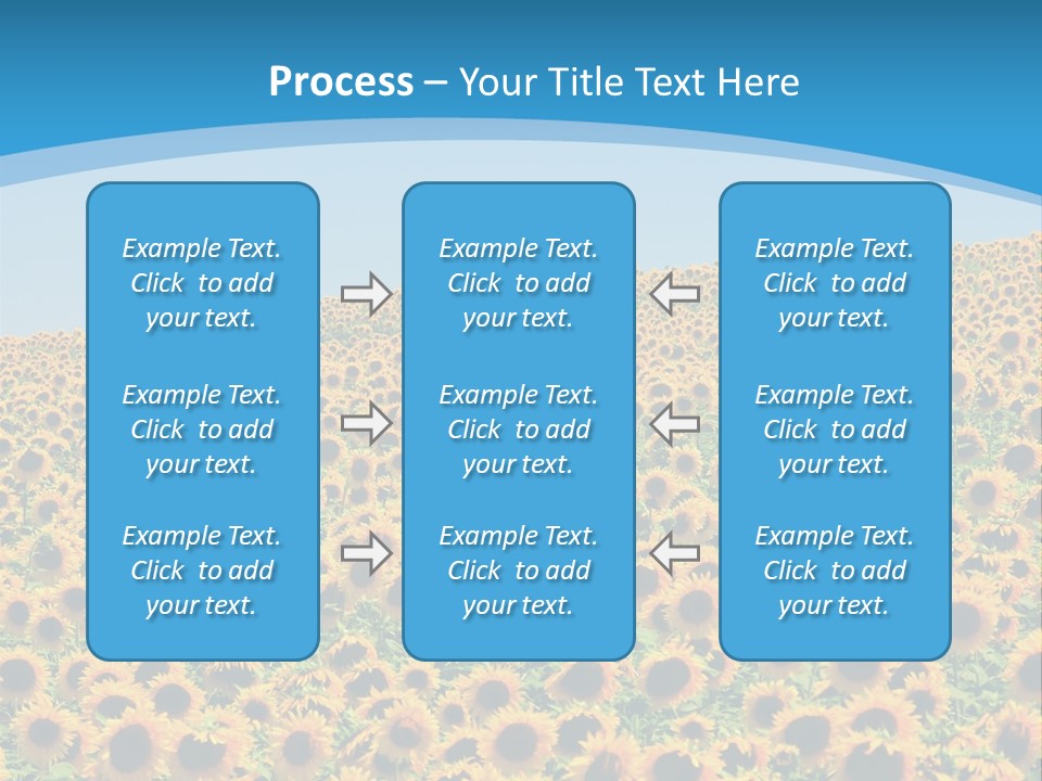 A Field Of Sunflowers, In The South Of France. PowerPoint Template