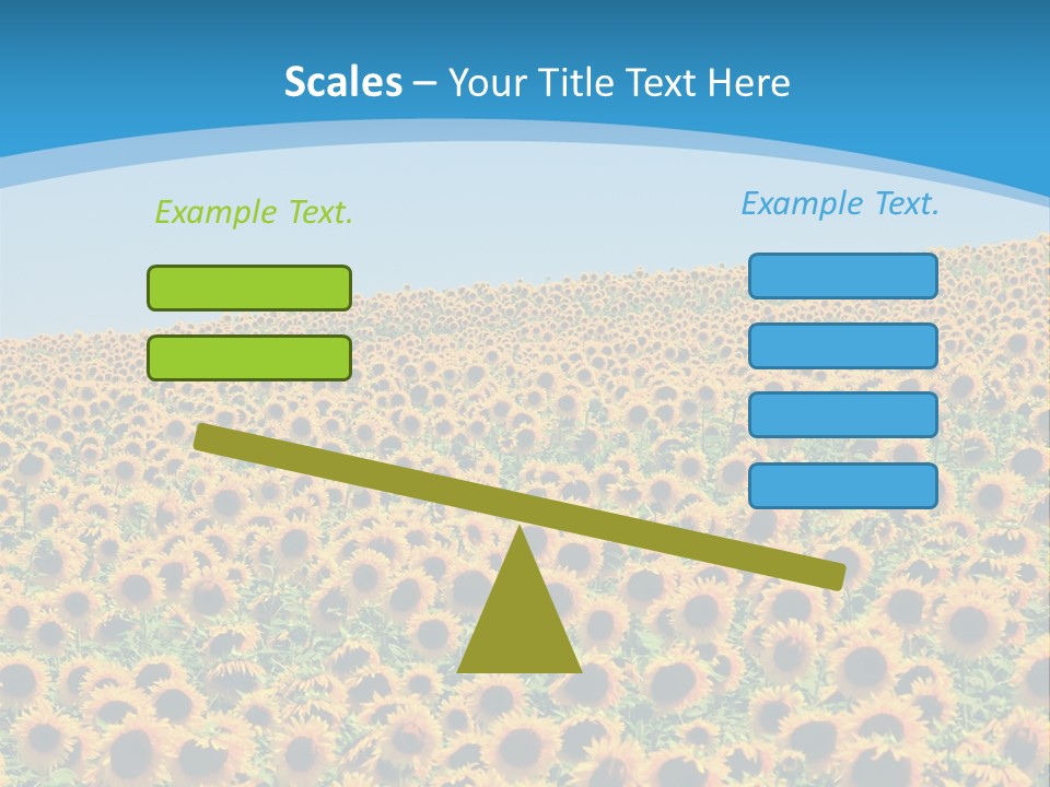 A Field Of Sunflowers, In The South Of France. PowerPoint Template