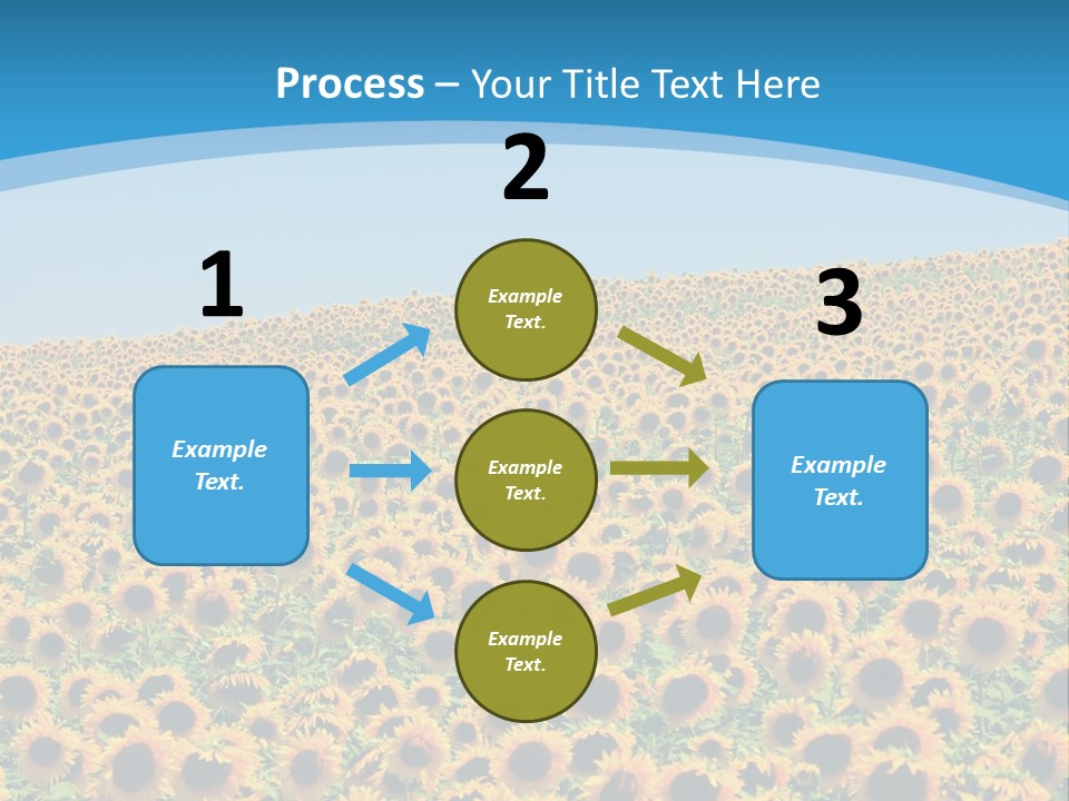 A Field Of Sunflowers, In The South Of France. PowerPoint Template