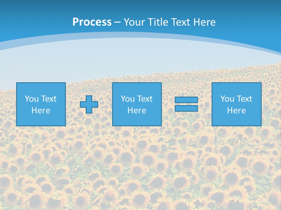 A Field Of Sunflowers, In The South Of France. PowerPoint Template